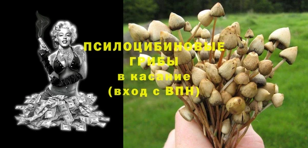 MDMA Premium VHQ Каменногорск