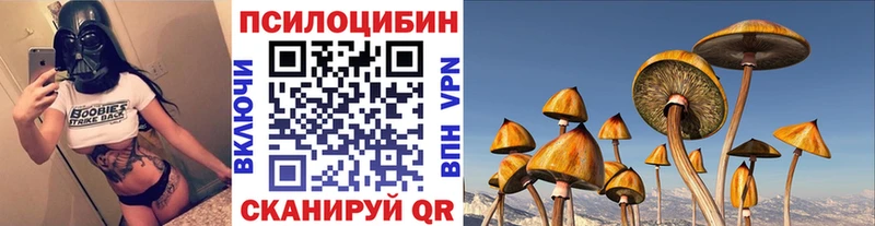 Купить  Иланский  Галлюциногенные грибы мухоморы 